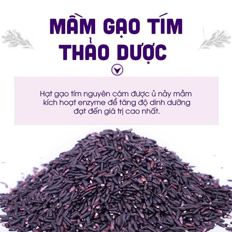 Mầm Gạo tím thảo dược